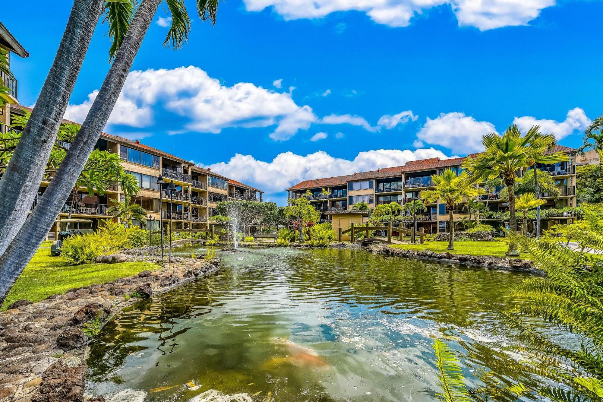 Papakea Resort Napili-Honokowai Oda fotoğraf