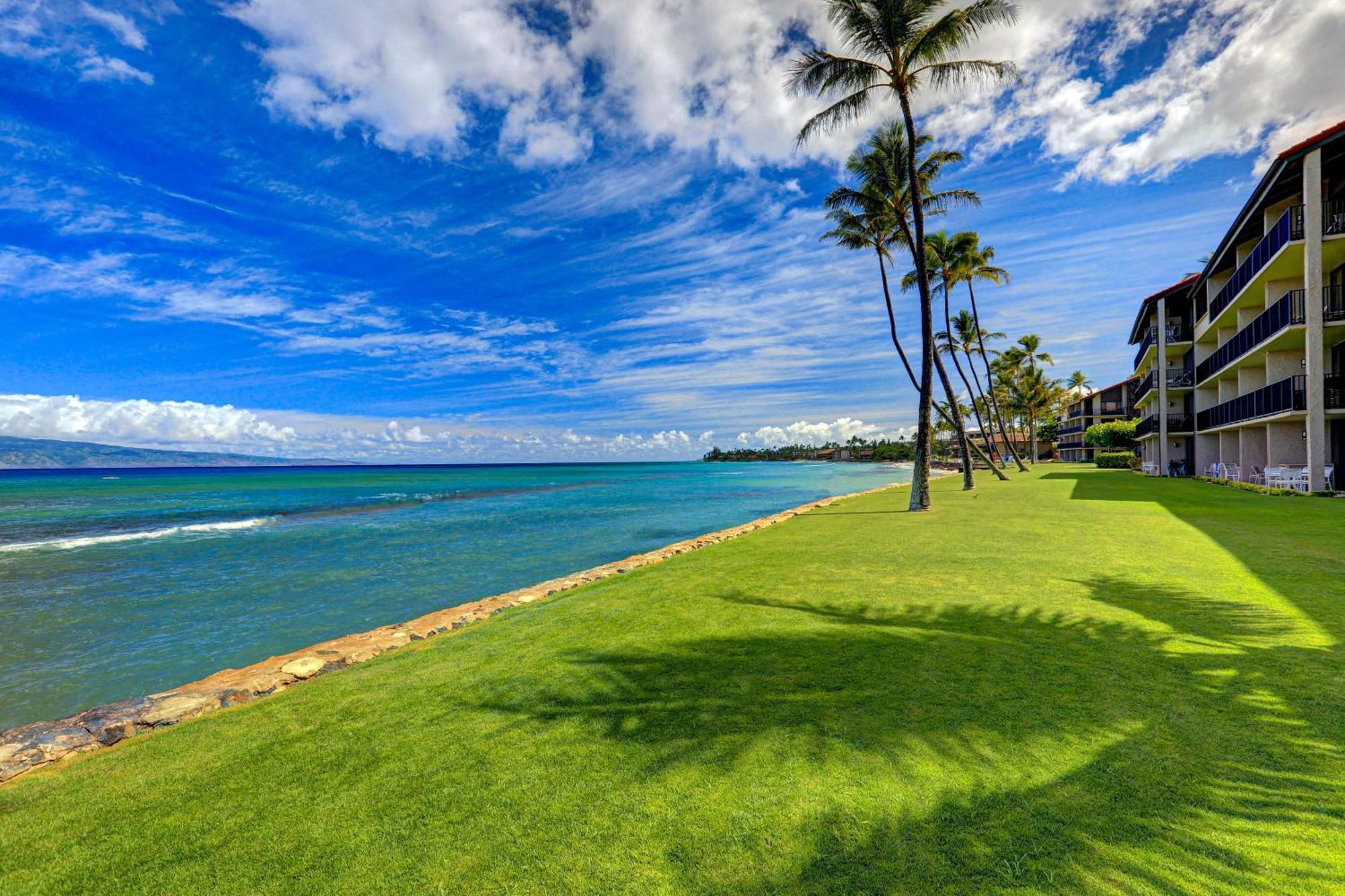 Papakea Resort Napili-Honokowai Oda fotoğraf