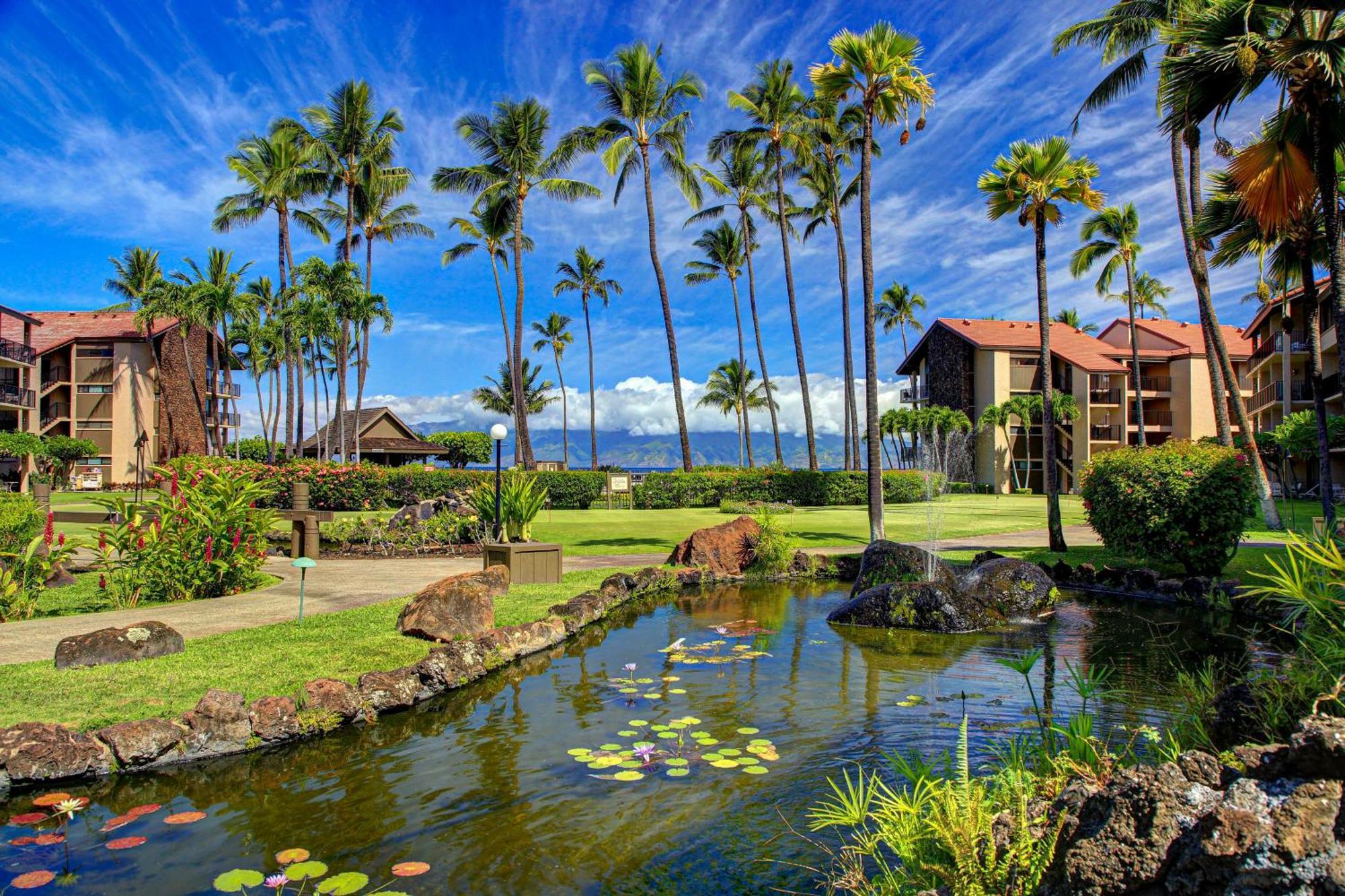 Papakea Resort Napili-Honokowai Oda fotoğraf