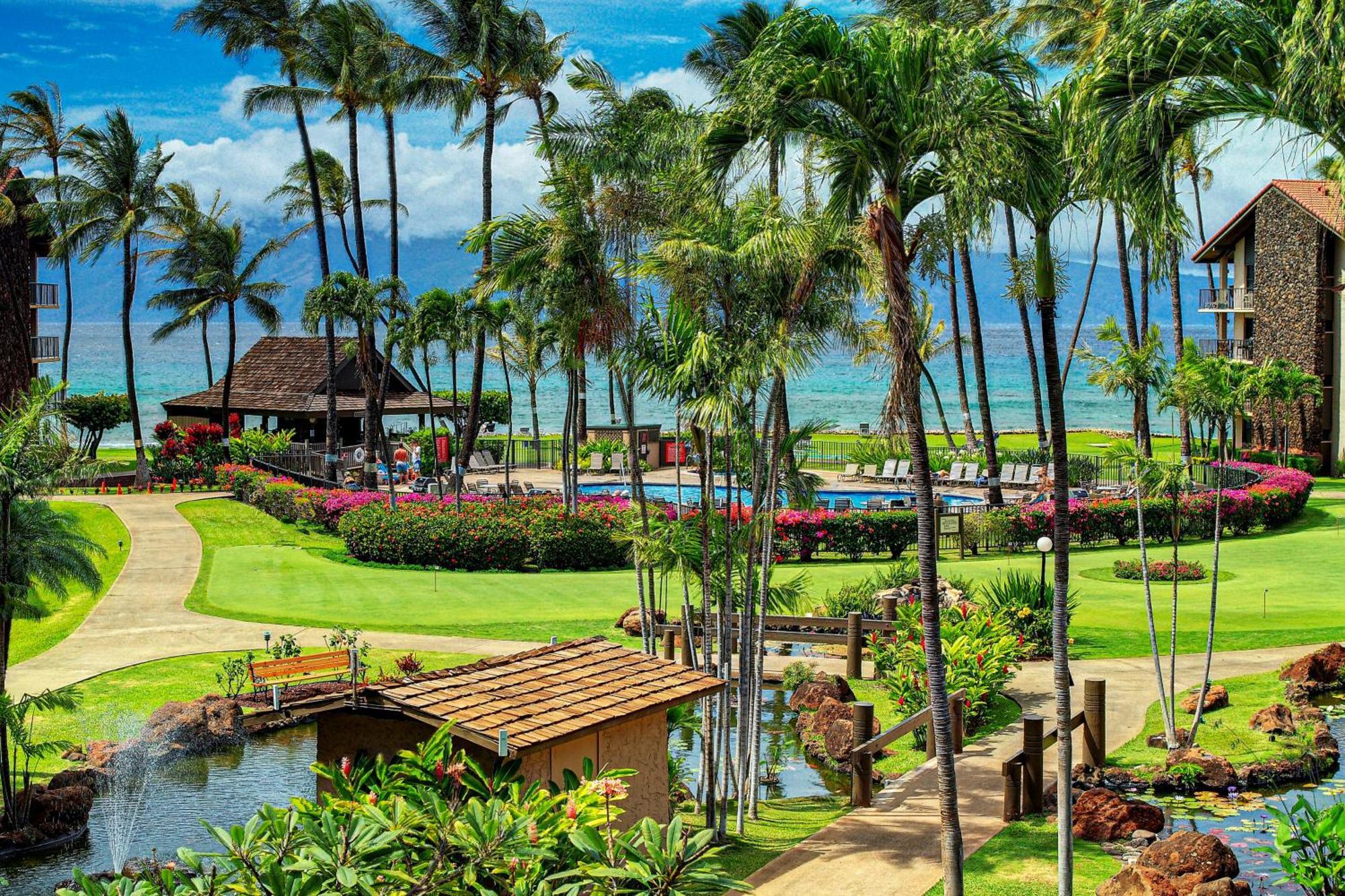 Papakea Resort Napili-Honokowai Oda fotoğraf